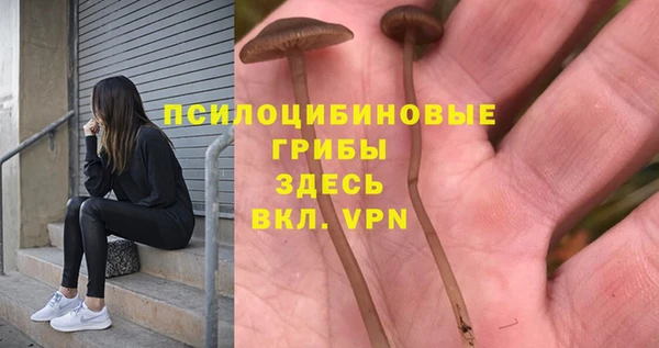 каннабис Алзамай